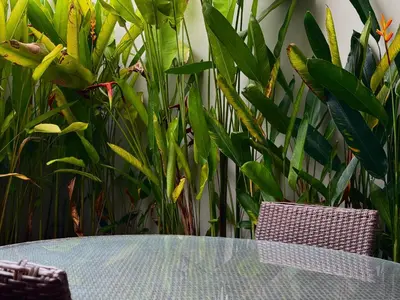 a table and chairs in a room with plants at Jalina Private Villa in Central Seminyak in Seminyak