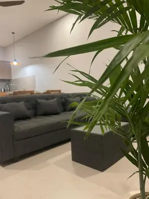 a living room with a couch and a plant at Brand new central Villa in Canggu