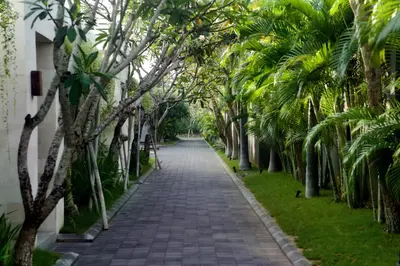 a path lined with palm trees in a resort at The Wolas Villas in Seminyak