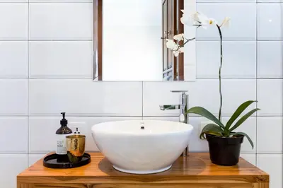 a bathroom with a white bowl sink and a plant at Villa Soleh in Seminyak