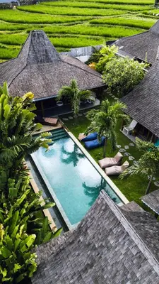 an overhead view of a swimming pool in a resort at Villa Du Bah - Cozy Tropical 3BR Villa 12min To Beach in Kerobokan