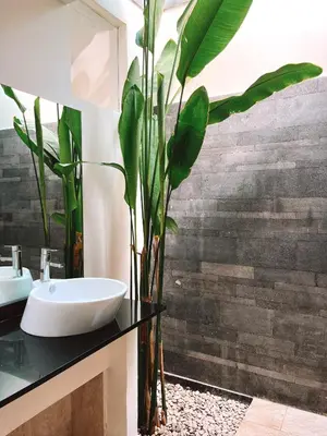 a bathroom with a sink and a plant on a counter at Aster Villa Seminyak in Seminyak
