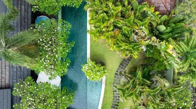 an overhead view of a garden with palm trees and a swimming pool at Villa Cinta Damai - Stunning & Stylish 4BR Luxury Villa in the Heart of Seminyak, Just a 10-Min Walk to the Beach in Seminyak