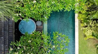 a pool of water in a garden with plants at Villa Cinta Damai - Stunning & Stylish 4BR Luxury Villa in the Heart of Seminyak, Just a 10-Min Walk to the Beach in Seminyak