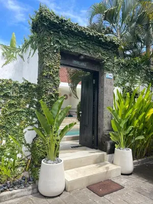 a entrance to a building with two potted plants at Pennylane Villa in Seminyak
