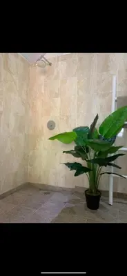 a bathroom with a shower with a plant in it at Villa Giulia in Seminyak