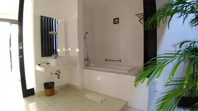 a bathroom with a sink and a mirror and a plant at The Diana Suite in Kuta