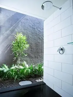 a bathroom with a shower and a plant at Villa Anema Umalas in Seminyak