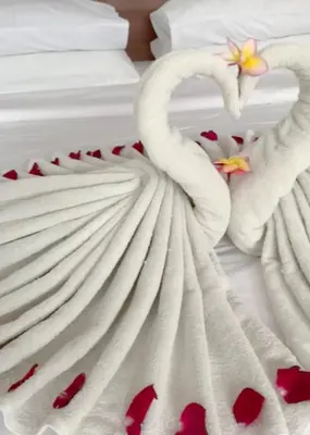 two white swans in a bed with red hearts at Kiss Bali Villas in Seminyak