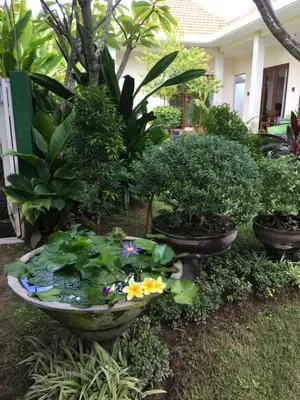 a garden with a pond with flowers and plants at Kubu Green in Nusa Dua