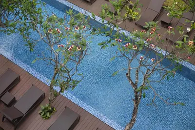 two trees in front of a blue swimming pool at Hotel Santika Kuta in Kuta