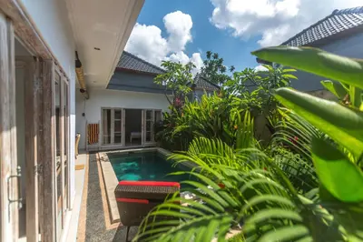 a pool in the backyard of a house with plants at Castro Villa in Seminyak