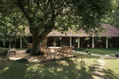a table and benches under a tree in a yard at Balquisse Heritage Hotel in Jimbaran