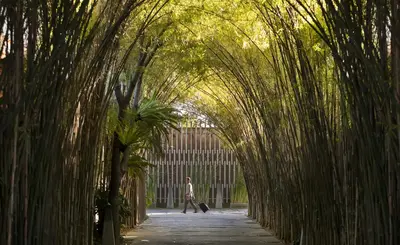 a person walking through an arch of bamboo trees at The Elysian Boutique Villa Hotel in Seminyak