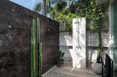 a bathroom with a shower and a cactus at Chandra Bali Villas in Seminyak