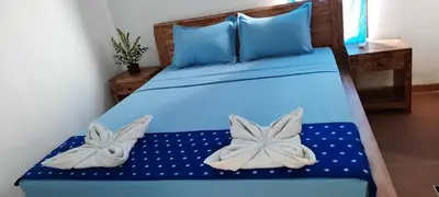 a blue bed with two butterfly pillows on it at Turtle Island Homestay in Sanur