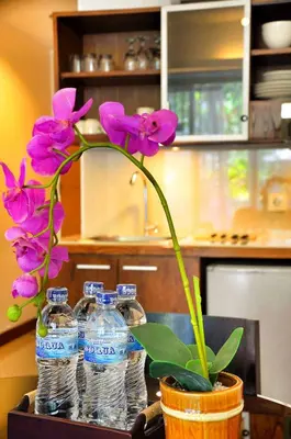 a flower in a pot next to two water bottles at Sunset Residence and Condotel in Legian