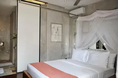 a bedroom with a white bed with a canopy at Villa Alina in Seminyak