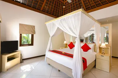 a bedroom with a canopy bed and a tv at Villa Zanissa in Seminyak