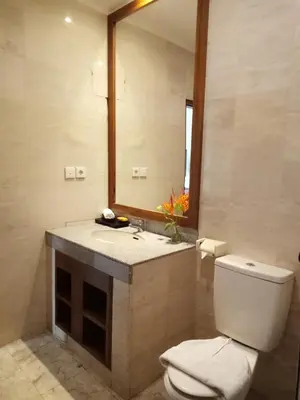 a bathroom with a toilet and a sink and a mirror at Ellies Hotel in Nusa Dua