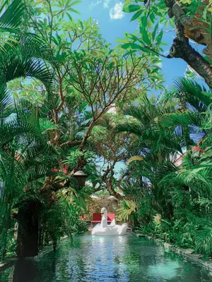 a white swan in a pool in a garden at Uma Karan in Seminyak
