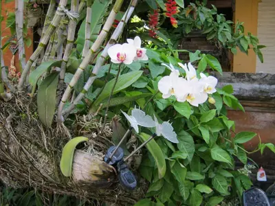 a garden with flowers and a basket with a pair of scissors at De Puspa Residence Seminyak in Seminyak