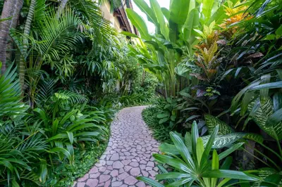 a walkway through a garden with green plants at Hotel Kumala Pantai in Legian