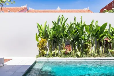 a pool in front of a white wall with plants at Villa Chikka in Seminyak