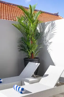 a plant in a pot next to a white surfboard at Villa Pandi in Seminyak