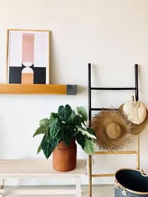 a shelf with a potted plant on a table at Pelangi 148 Beach Suites in Seminyak