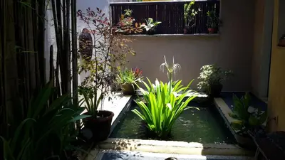 a garden with a pond with plants in it at Villa Plawa Asri in Seminyak