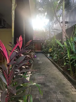 a pathway in a garden with many plants at Guest house KupuKupu39 in Kuta