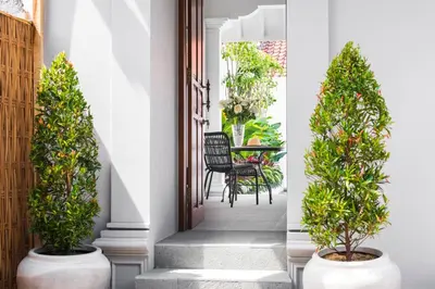 a hallway with two potted plants and a table at Villa Salsa in Seminyak