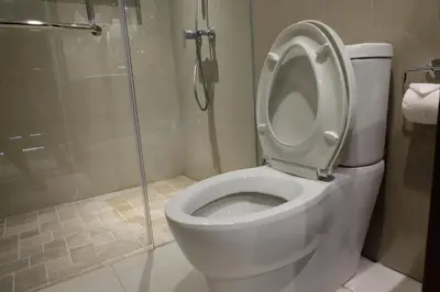 a white toilet in a bathroom with a shower at Wirton Seminyak in Denpasar