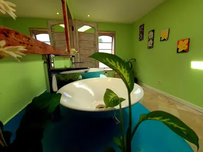a bathroom with a sink and a plant in it at Villa Noretsy in Seminyak