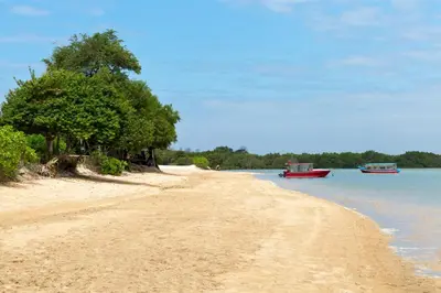 an empty beach with trees and a boat in the water at D&G Villas Nusa Dua in Nusa Dua