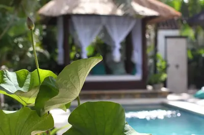 a green plant in front of a swimming pool at Villa Alu Lima in Seminyak