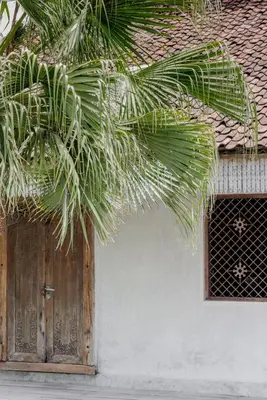a palm tree in front of a building with a door at Villa Palm Jari 1 by Alfred in Bali in Canggu