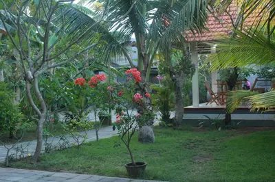 a plant with red flowers in a garden at Puri Clinton Bali in Nusa Dua