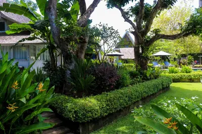 a garden in front of a house at Chanteak Bali - Stone House 3 in Jimbaran