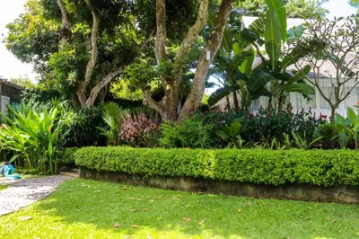 a garden with green bushes and a tree at Chanteak Bali - Teak House 1 in Jimbaran