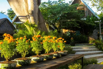 a garden with orange flowers on a wooden bench at Chanteak Bali - Teak House 3 in Jimbaran
