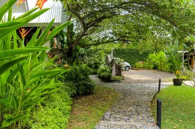 a garden with a tree and a stone path at Chanteak Bali - Teak House 3 in Jimbaran