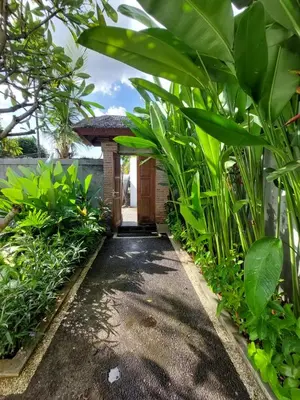 a pathway through a garden with plants at Villa bale villa in Seminyak