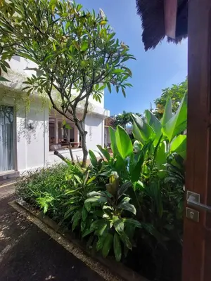 a garden with green plants and a tree at Villa bale villa in Seminyak