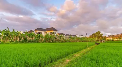 a green rice field with houses in the background at Hedonia Luxury Villas in Seminyak
