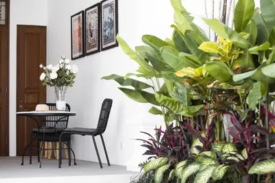 a table and chairs in a room with plants at Villa Anahera Seminyak in Seminyak