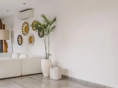 a living room with a white couch and a plant at AB Villa & Apartments in Seminyak