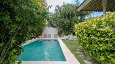 a swimming pool in a yard with plants at Ocean Star 2 in Seminyak