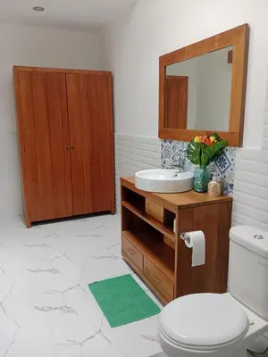 a bathroom with a sink and a mirror and a toilet at Wyanna Villa LEGIAN in Legian
